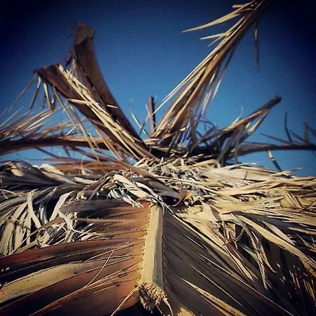 Isla * نيوي بوروي